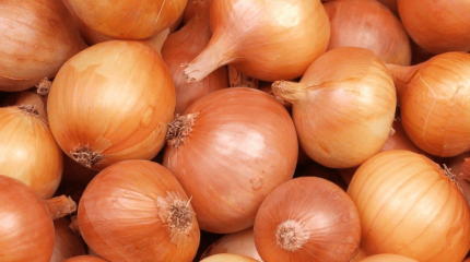 Пияз бағасының өсуін түсіндірді