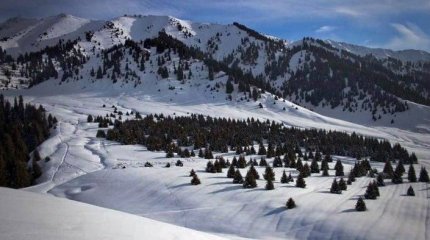 Алматы полигоны аумағында жеті балдық жер сілкінісі күтілмейді