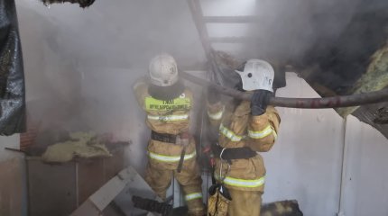 Елордалық өрт сөндірушілер тілсіз жауды дер кезінде ауыздықтады