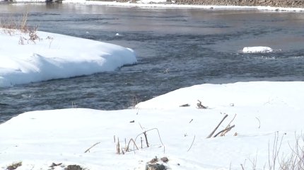 "Ана сүтінен де сынап табылдыған", - тәуелсіз эколог