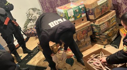 БҚО полицейлері ақбөкеннің 2 мыңнан астам мүйізін тәркіледі