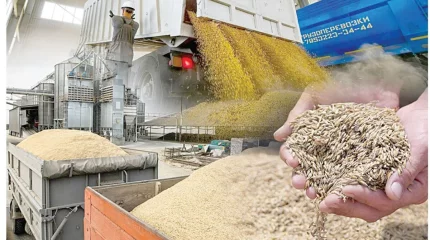 Қазақстан бидай экспортын 10%-ға ұлғайтты