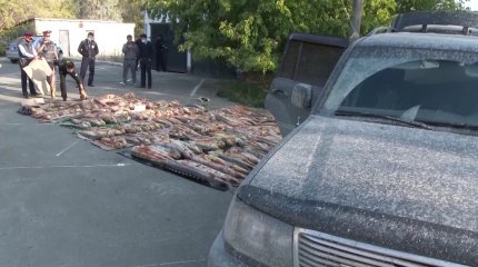 Биылдан бастап өңделмеген балықтың жекелеген түрлерін экспортқа шығаруға тыйым салынады