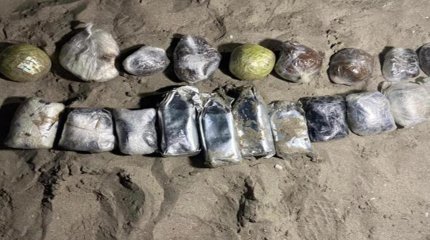 Трех иранцев осудили в Казахстане за контрабанду крупной партии опиума