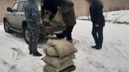 149 кг рыбы незаконно перевозил житель Павлодара