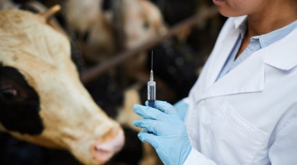 Елімізде ветеринарларға арнайы мәртебе берілмек