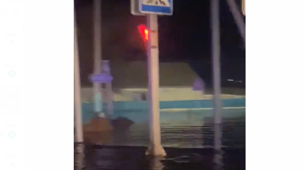 Жилые дома затопило в Актюбинской области