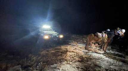 Адасқан малшы аман табылды