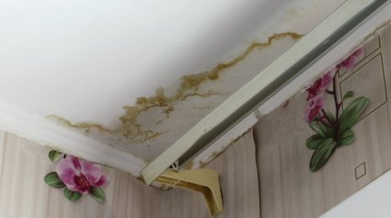 «Все ручьем бежало»: настоящим кошмаром обернулся ремонт кровли для жителей Петропавловска