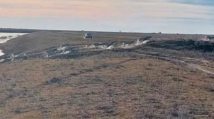 Батыс Қазақстанда 100-ден астам киік судан шығарылды