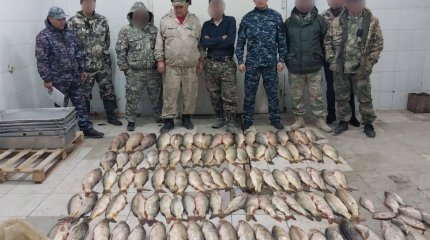 До трех лет тюрьмы грозит туркестанскому рыбаку за три мешка улова
