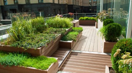 Бесплатные грядки с овощами разбивают в европейских городах