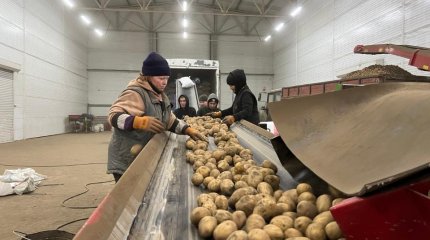 26 новых овощехранилищ откроют в Казахстане в этом году