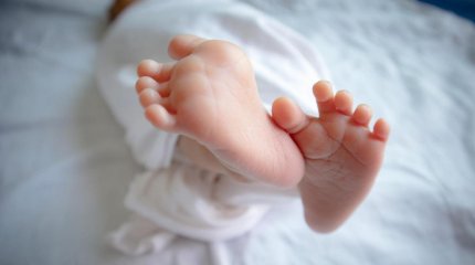 Түркістан облысында сайлау күні 86 сәби дүниеге келді