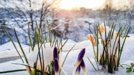 Удачные поездки - у Близнецов, прибыль - у Весов: что сулят звезды 2 марта