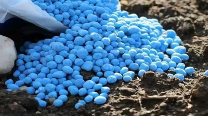 Елімізде тыңайтқыштарды шет мемлекеттерге шығаруға шектеу қойылмақ