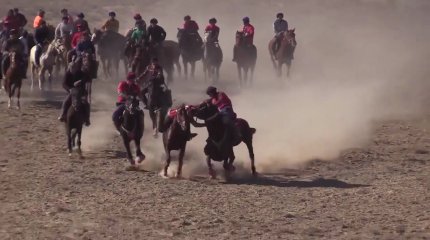 Көкпарда намыстың нары, тұлпардың бабы сыналады