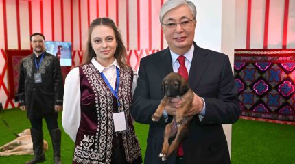 Токаеву подарили щенка тазы по кличке Наурыз
