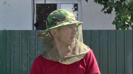 Павлодарда өткен жылы шыбын шіркейді улау жұмыстары нәтиже бермеген