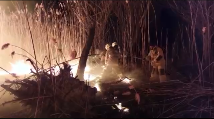 30 гектаров камыша загорелось в Атырауской области