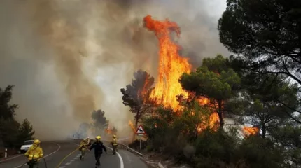 Испанияда орман өрті дес бермей жатыр