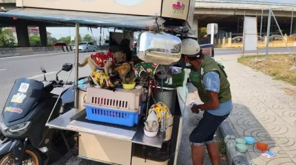 "Ақтық деміне дейін бірге болам": 11 мысығымен бірге саяхатқа шыққан ер адам көптің назарына ілікті