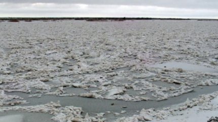 Арал теңізінің деңгейі көтерілді