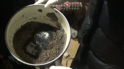 Павлодарда нашақорлар притоны әшкере болды