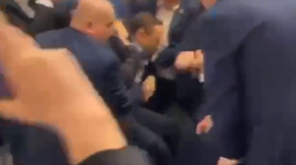 Грузинские депутаты подрались из-за законопроекта