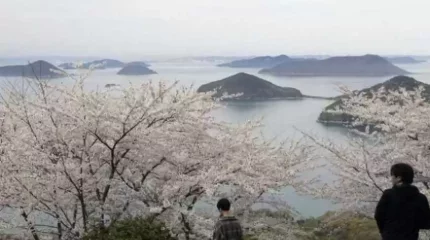 Жапонияда бұрын белгісіз болып келген жеті мың арал анықталды