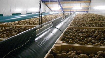 14 овощехранилищ введено в эксплуатацию в 2022 году