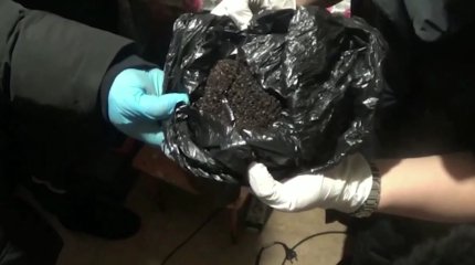 Наркопритон ликвидировали в Павлодаре