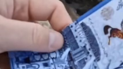 Денежный дождь в столице обсуждают в сети