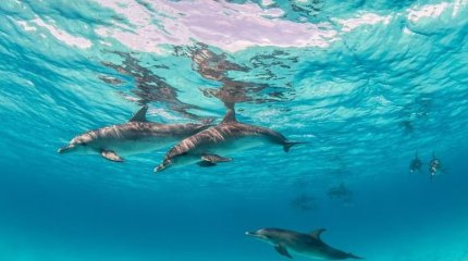 БҰҰ мұхиттарды қорғау туралы келісімді мақұлдады