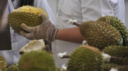 Самолет Turkish Airlines совершил экстренную посадку из-за запаха дуриана