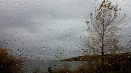 Шығыс Қазақстан облысында дауылдың соңы жаңбырға ұласты