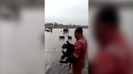 БҚО 200-ден астам өзен-көлдің 14 процентіне ғана мониторинг жүргізіледі