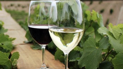 Казахстанцы стали пить больше вина