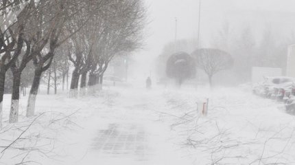 Павлодар облысында күшті жел шатырларды жұлып, электр желілерін зақымдады