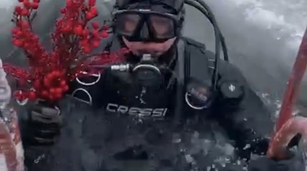 Из проруби - с цветами: столичные водолазы оригинально поздравили женщин с 8 марта