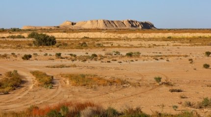 Городище Алтынасар готовят для включения в список ЮНЕСКО, - МКС РК