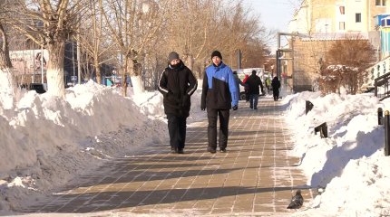 Жалған құжат жасаған жаттықтырушылар жазаға тартылды