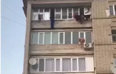 Әйел бесінші қабаттан секірмек болды