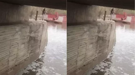 Полицейлер көпірден секірмек болған қызды құтқарды