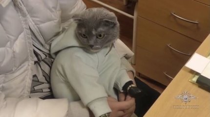 Закладчица разносила наркотики под прикрытием кошки