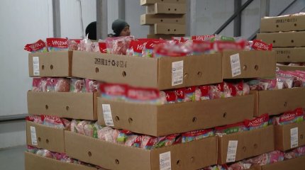 Индейка может исчезнуть с прилавков: один из производителей птицы на грани закрытия