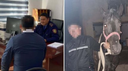 Сарыағашта екі ер адам көршісінің жылқысын ұрлап, сатып жіберген