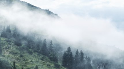 Демалыс күндері ауа райы қандай болады?