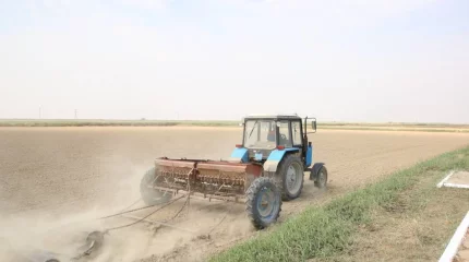Абай облысында жасөспірім трактордың шөп орау прессінің арасына қысылып, қаза тапты