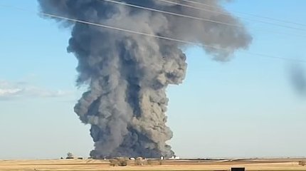 18 тысяч коров убил взрыв на ферме в США
